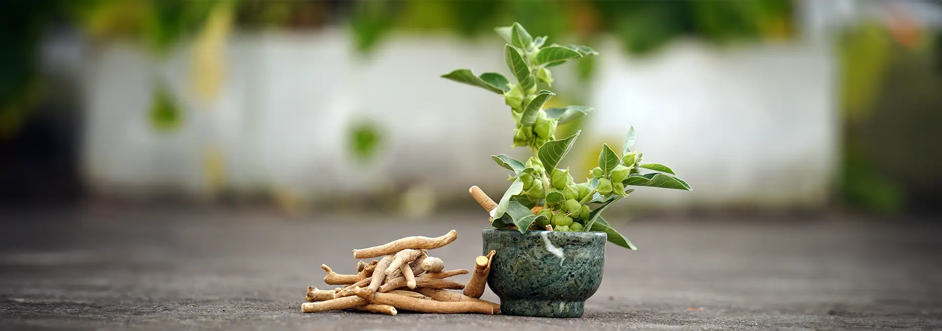 How Much Ashwagandha Per Day for Testosterone? Find Out Here!