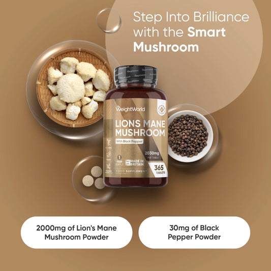 weightworld-uk-lion-mane-mushroom-extract-02
